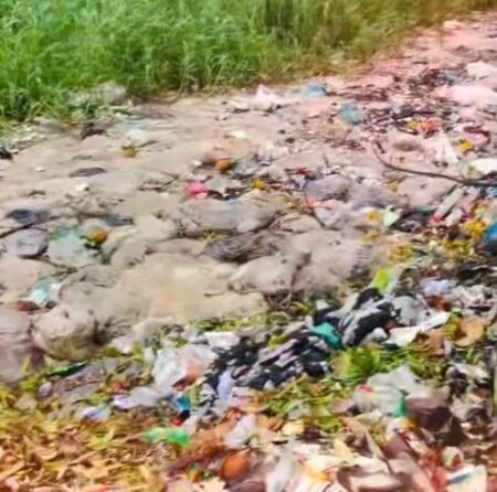 আমতলীতে ডোবা নালা যেন,মশার আতুর-ঘর।