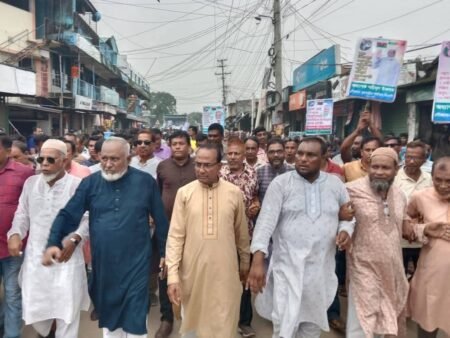 কুষ্টিয়ায় বিজয়ের বর্ষপূর্তি উপলক্ষে মিরপুরে বিএনপির বিজয় শোভাযাত্রা ও গণজমায়েত অনুষ্ঠিত