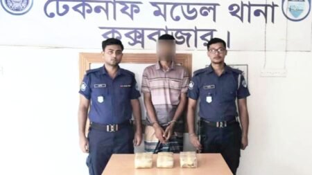 টেকনাফে ৩০ হাজার ইয়াবাসহ মাদক ব্যবসায়ী আটক