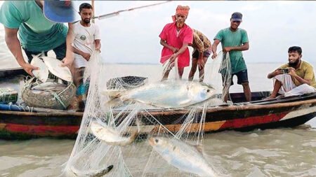 বরগুনায় ২২ দিনের ইলিশ আহরণে নিষেধাজ্ঞা