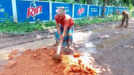 এক প্রবাসীর উদ্যোগে বদলে গেল সড়ক