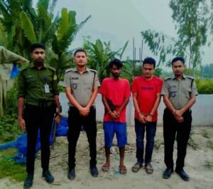 বগুড়ায় গাঁজাসহ গ্রেপ্তার ২, ভ্রাম্যমাণ আদালতে কারাদণ্ড