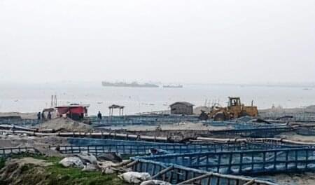 কুষ্টিয়ার তালবাড়িয়া ও রানাখড়িয়া পদ্মা থেকে বালু উত্তোলনের মহোৎসব দৈনিক প্রায় অর্ধ কোটি টাকার রাজস্ব লুট